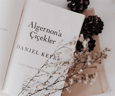 Algernon'a Çiçekler (Daniel Keyes)