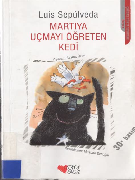 Martıya Uçmayı Öğreten Kedi (Luis Sepulveda)